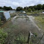 Nieuwsbrief volkstuincomplex Griffioen, mei 2024