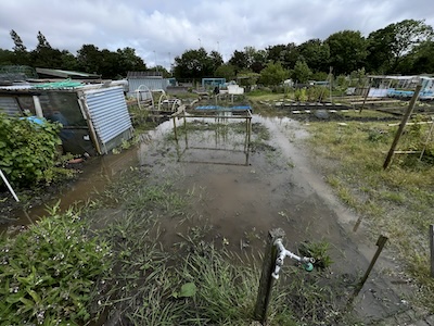 Nieuwsbrief volkstuincomplex Griffioen, mei 2024