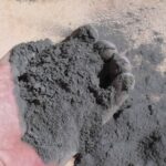 Gezamenlijke inkoop van Lavameel